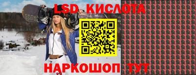 молекула духа Пугачёв